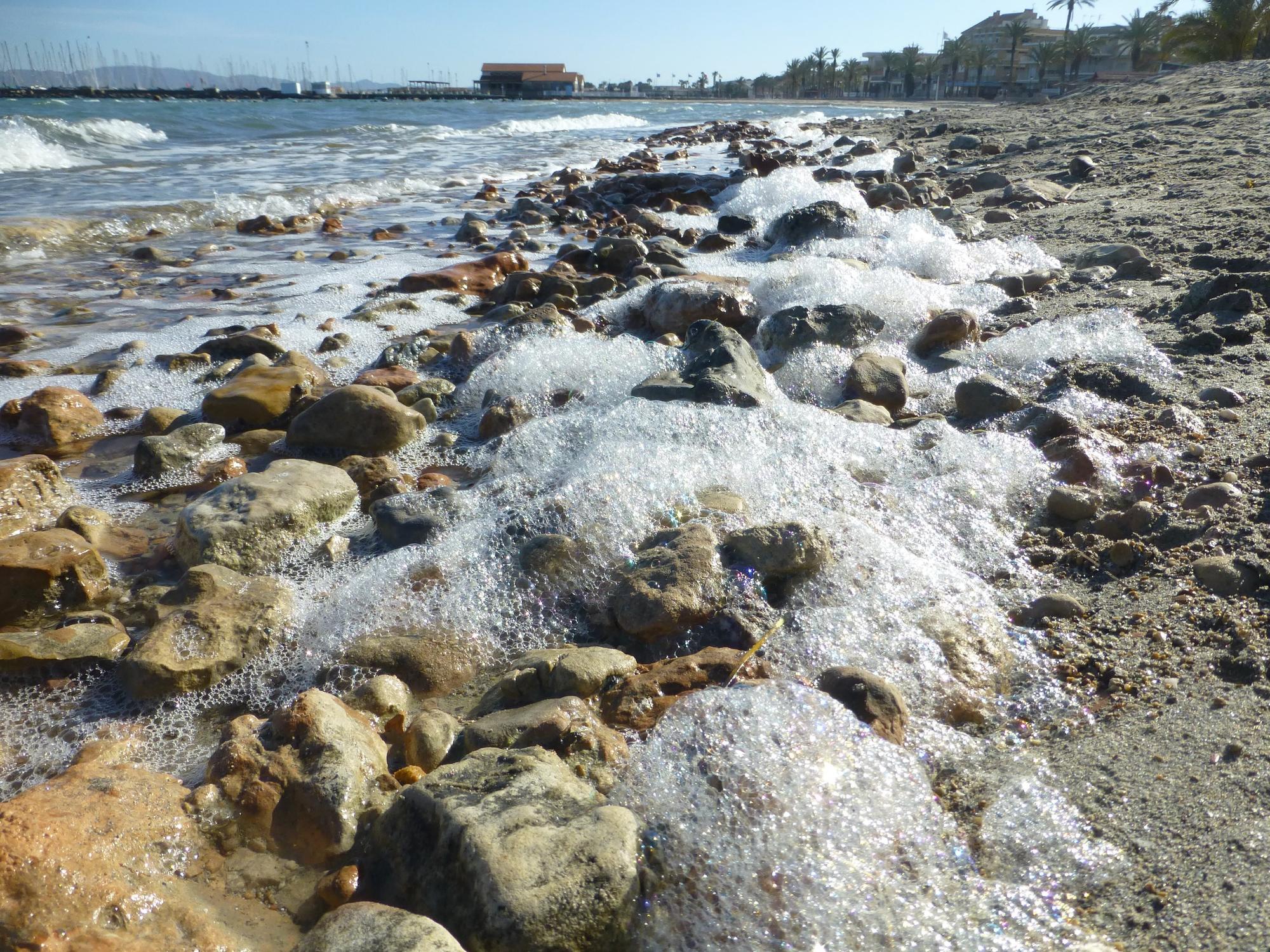Imagen del deterioro ambiental en el Mar Menor