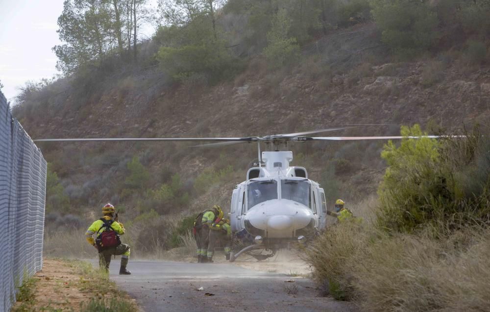 Incendio forestal en la zona el Pi d'Ambrosio de l'Ènova