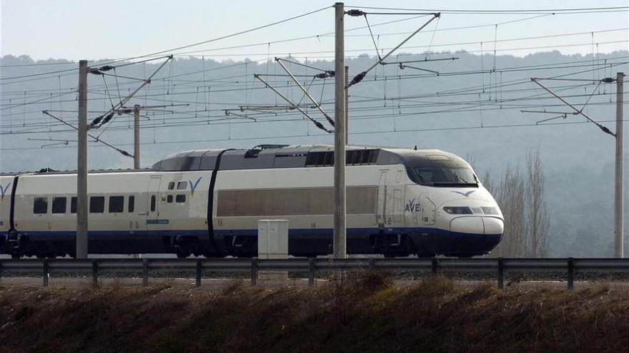 El atropello de un jabalí obliga a un tren a parar más de dos horas en El Carpio