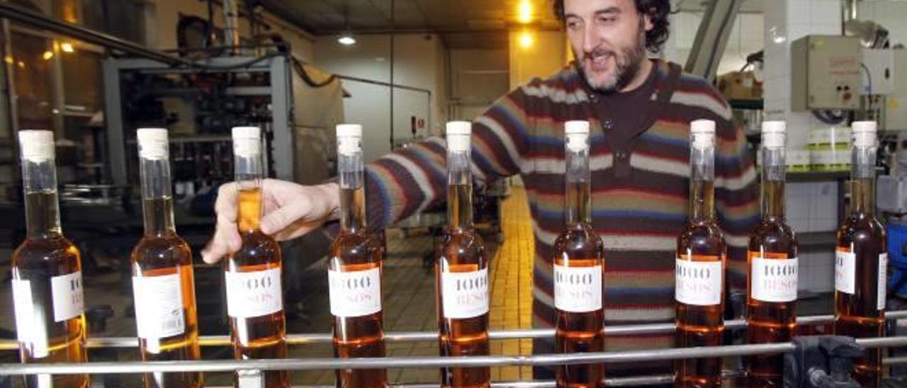 La bodega de Turís lanza cinco nuevos vinos