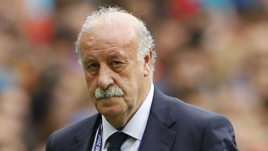 Vicente del Bosque durante el partido ante Italia.