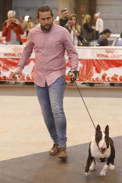 XXI Exposició Internacional Canina