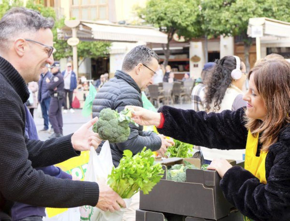 Los voluntarios de las organizaciones agrarias repartieron fruta y verdura de temporada.