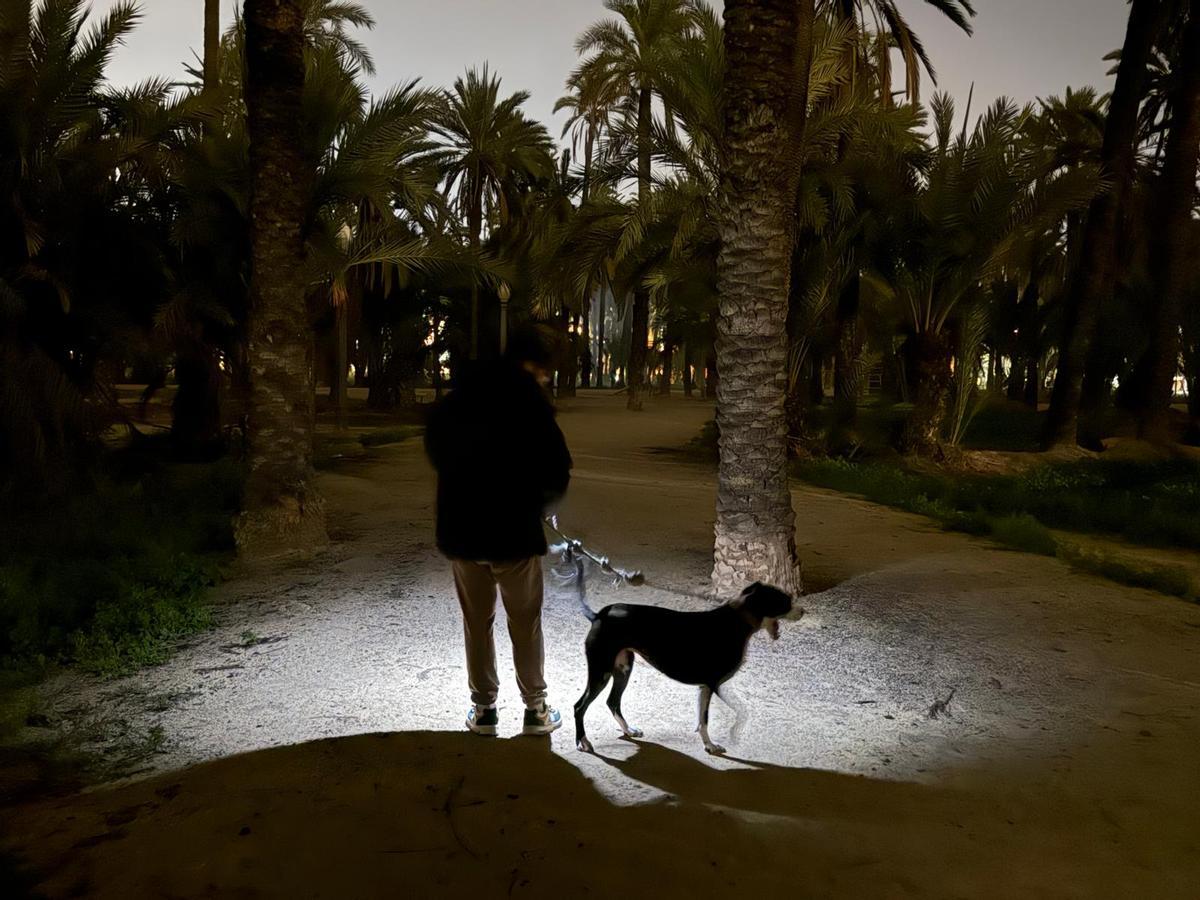 Huerto del Pastoret, cerca del centro histórico, con las farolas apagadas hasta hace días