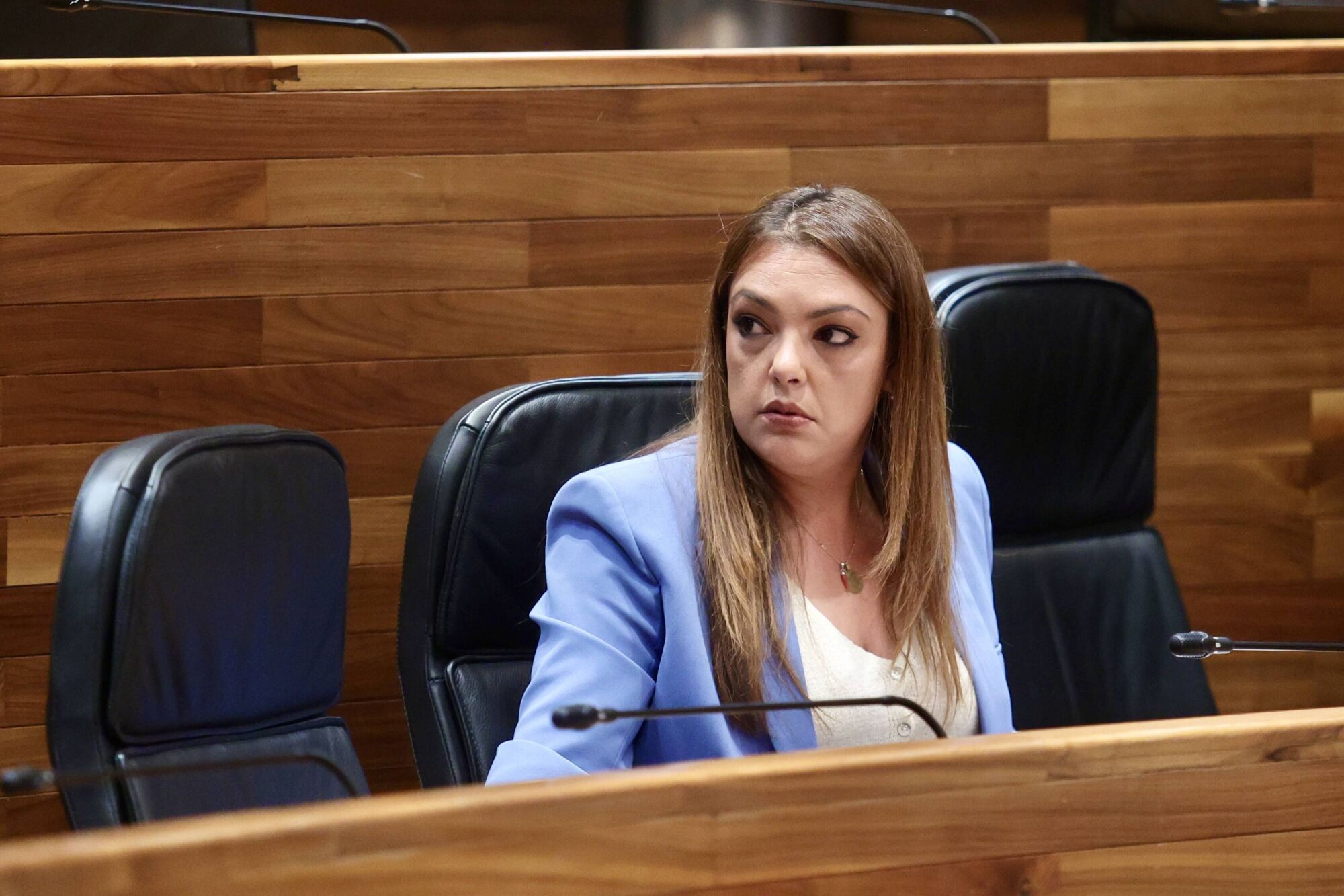 Así fue la sesión de control al Gobierno en la Junta del Principado