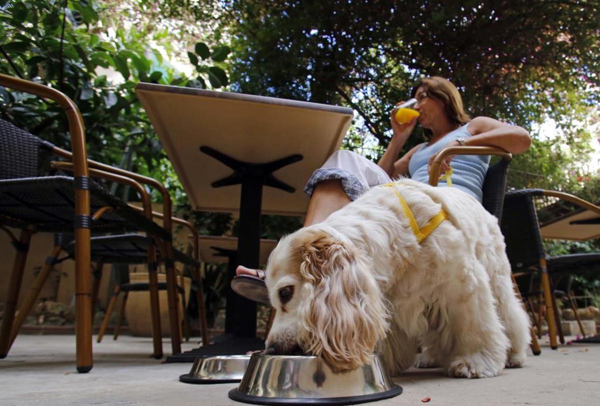 Seis restaurantes con patio interior en Palma