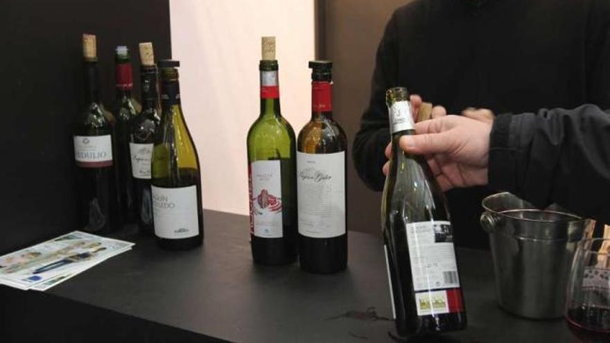 Algunos de los vinos de Valdeorras en una reciente exposición.  // Iñaki Osorio