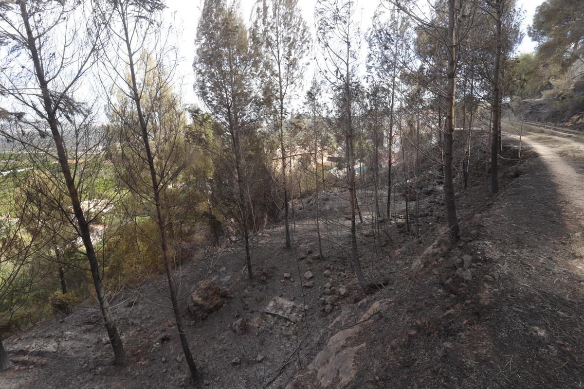 El incendio arrasa la urbanización Monte Corona de Ador