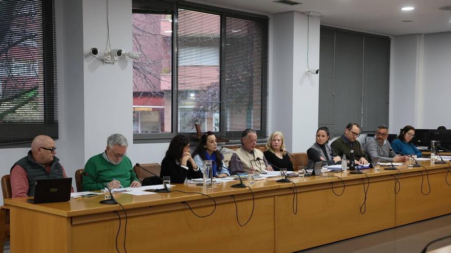 Tensión entre socios en Castrillón: Vox avisa al PP de que no habrá "silencio cómplice" ante la parálisis de sus proyectos