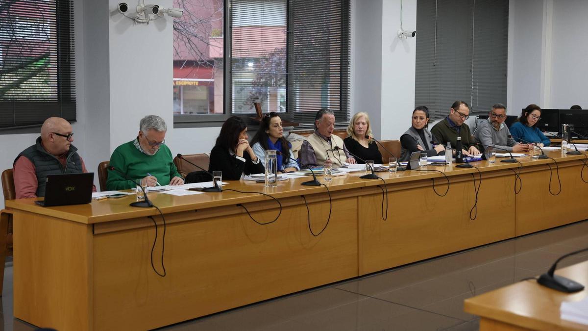 La bancada de Vox y del PP, durante un pleno de Castrillón