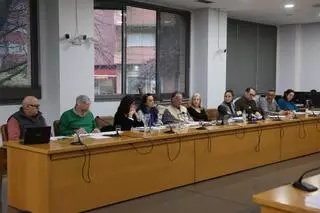 Tensión entre socios en Castrillón: Vox avisa al PP de que no habrá "silencio cómplice" ante la parálisis de sus proyectos