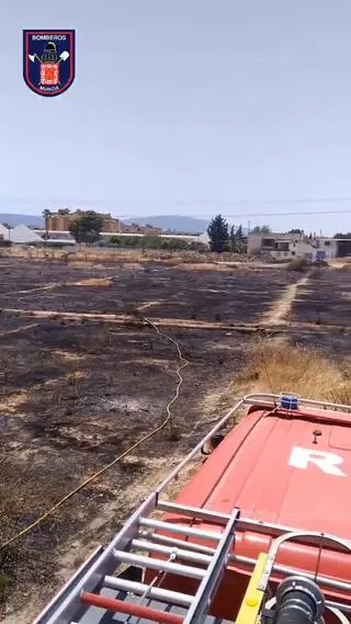 Un incendio calcina casi 5 hectáreas en Cabezo de Torres