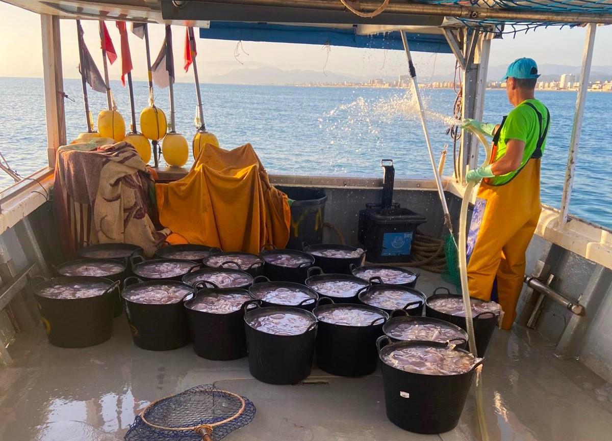 El sector de la pesca se enfrenta a restricciones.