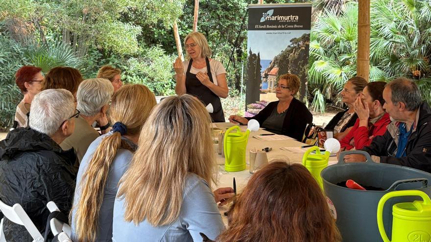 El Jardí Marimurtra de Blanes tanca el 2025 amb un rècord històric de 235.000 visitants coincidint amb el centenari