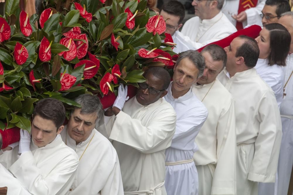 procesion borriquilla