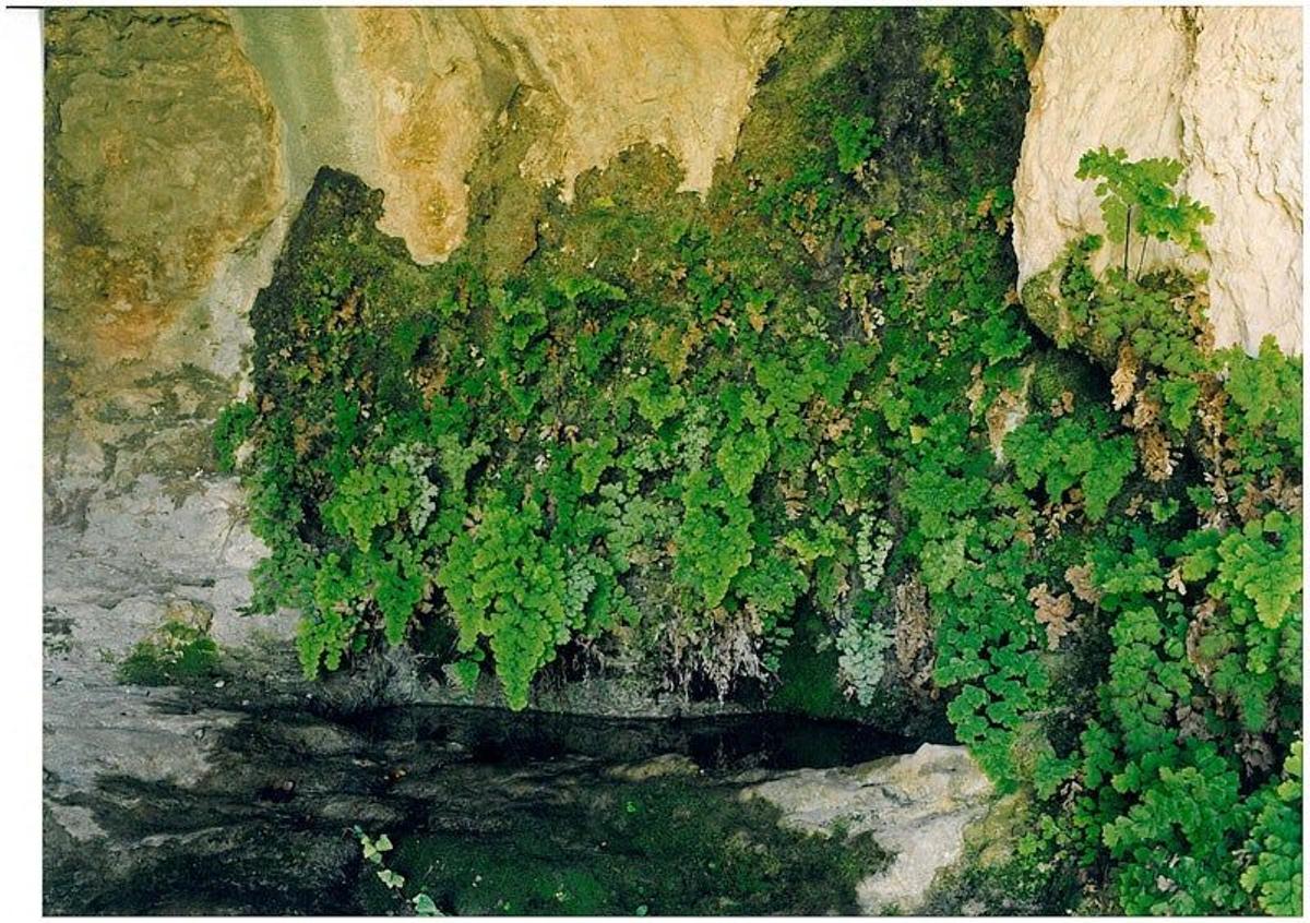 Fuente de La Vall de Laguar