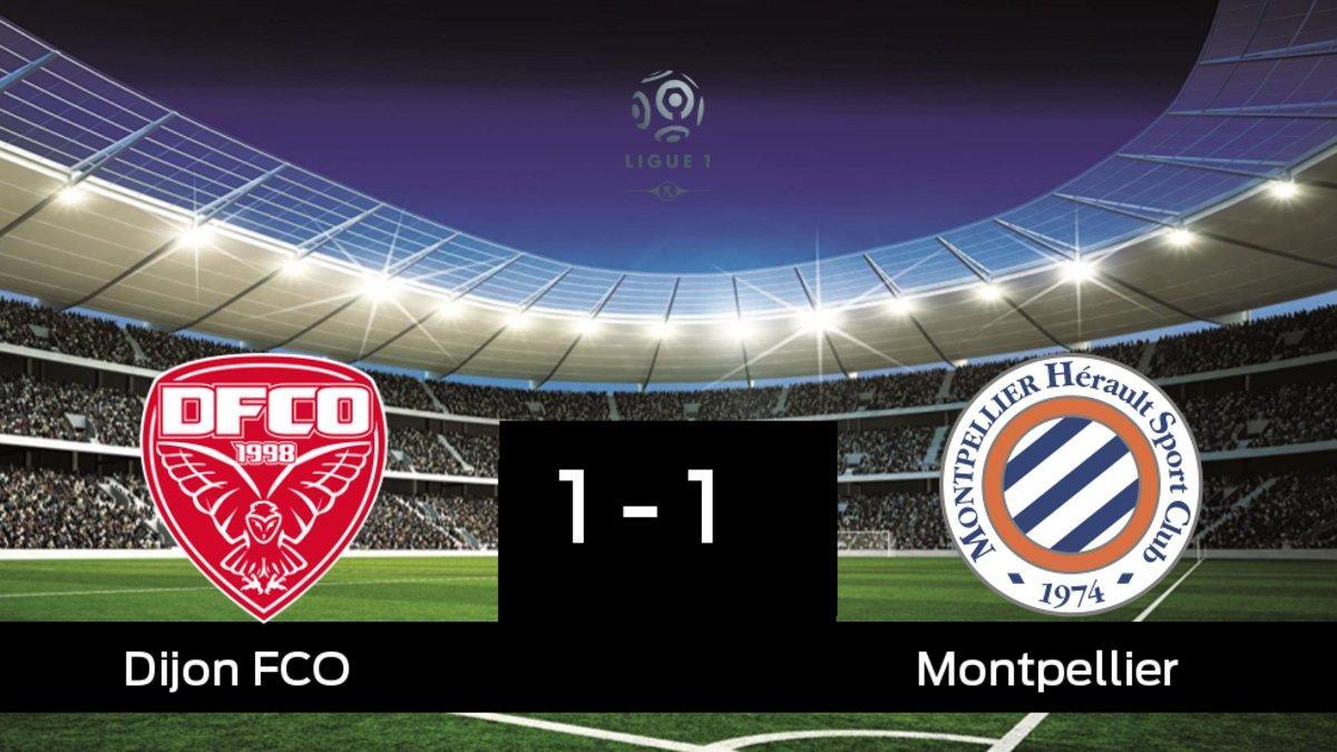 Empate (1-1) entre el Dijon FCO y el Montpellier