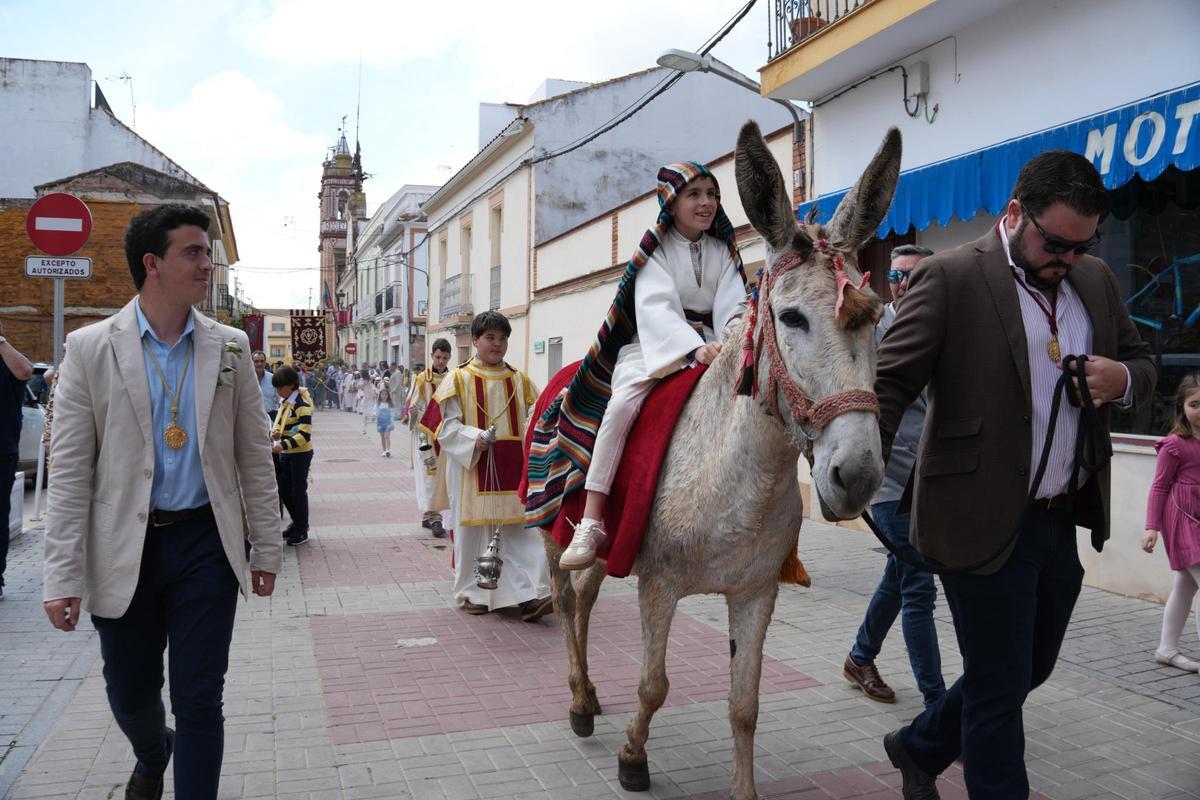 Borriquita de Fuente Palmera.