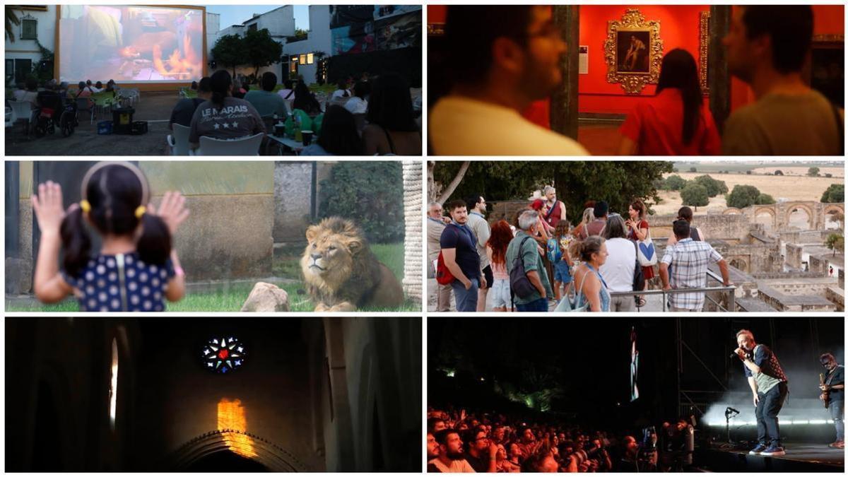 La oferta nocturna y cultural del verano en Córdoba