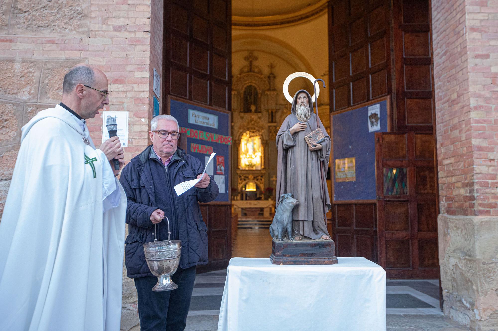 Bendición de San Antón en Torrevieja