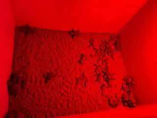 Las imágenes del prodigio: Nacen 128 tortugas en Dénia