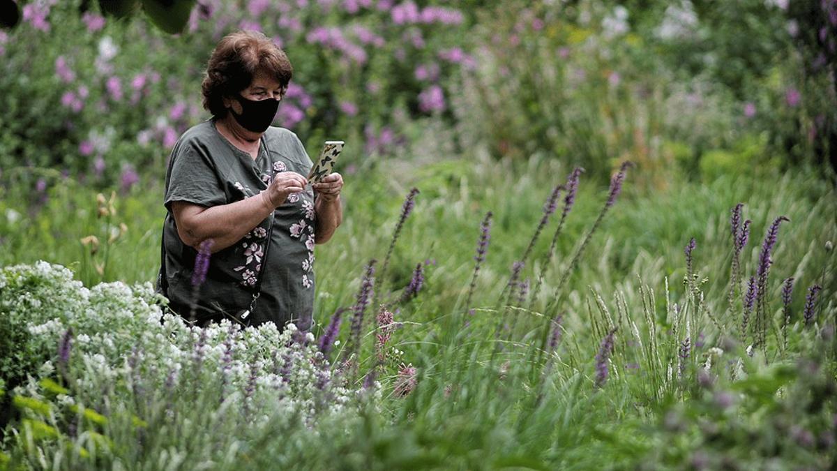 Una mujer protegida con mascarilla hace una foto con su teléfono móvil a unas flores durante el segundo día de la reapertura del Real Jardín Botánico de Madrid, el 26 de mayo