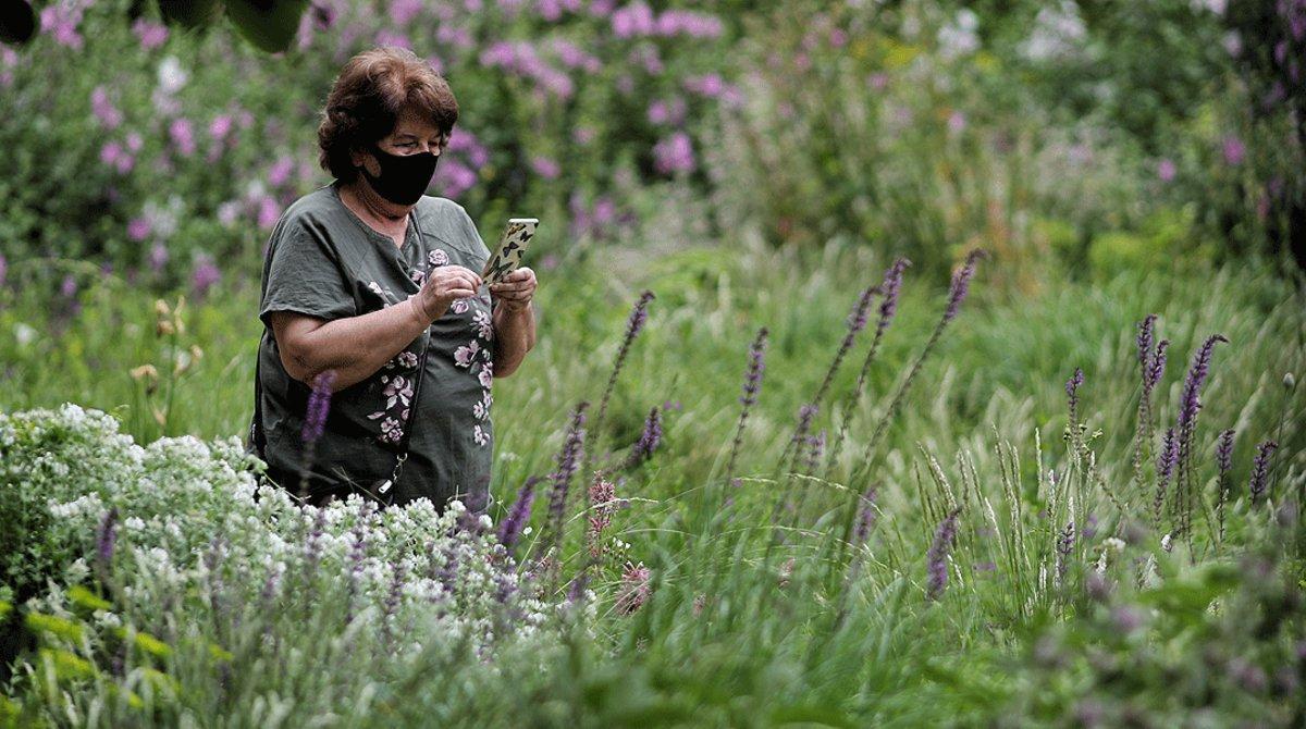 Una mujer protegida con mascarilla mira su teléfono móvil el segundo día de la reapertura del Real Jardín Botánico de Madrid, el 26 de mayo. 