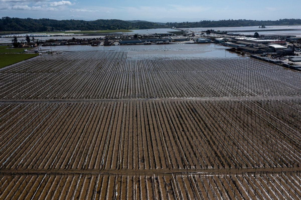 Campos inundados en Pájaro (California) debido al paso de un río atmosférico