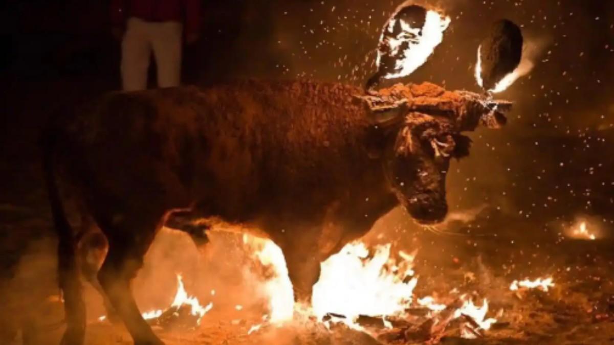 Un toro embolado se cuela en una casa con los cuernos en llamas en medio de las fiestas populares