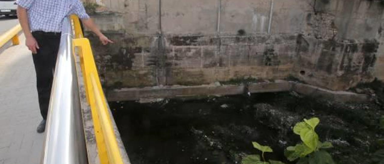 Una plaga de moscas indigna a los vecinos y los bares de del Pont de Xàtiva alcireño