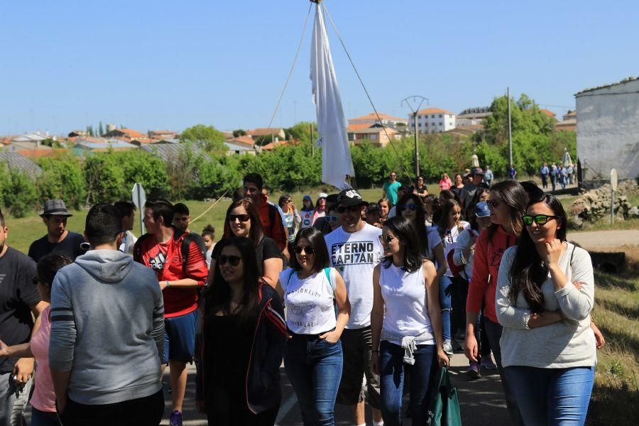 Romería en Muga de Sayago.