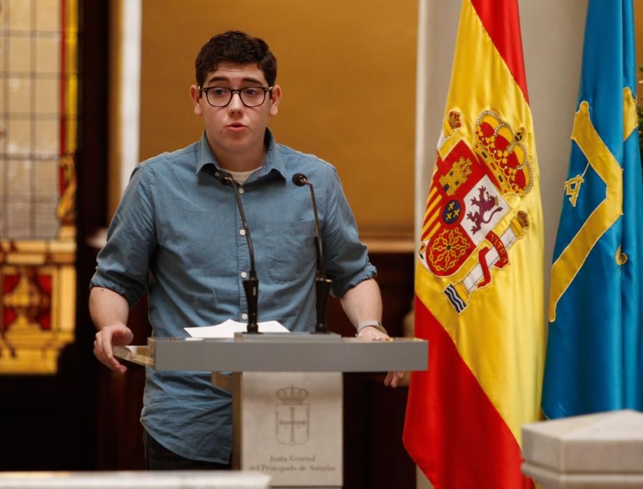 40.º aniversario de la Carta Magna en el Parlamento asturiano