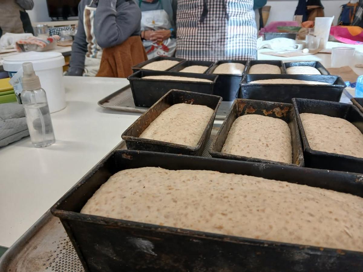 El pa a punt per entrar en el forn.