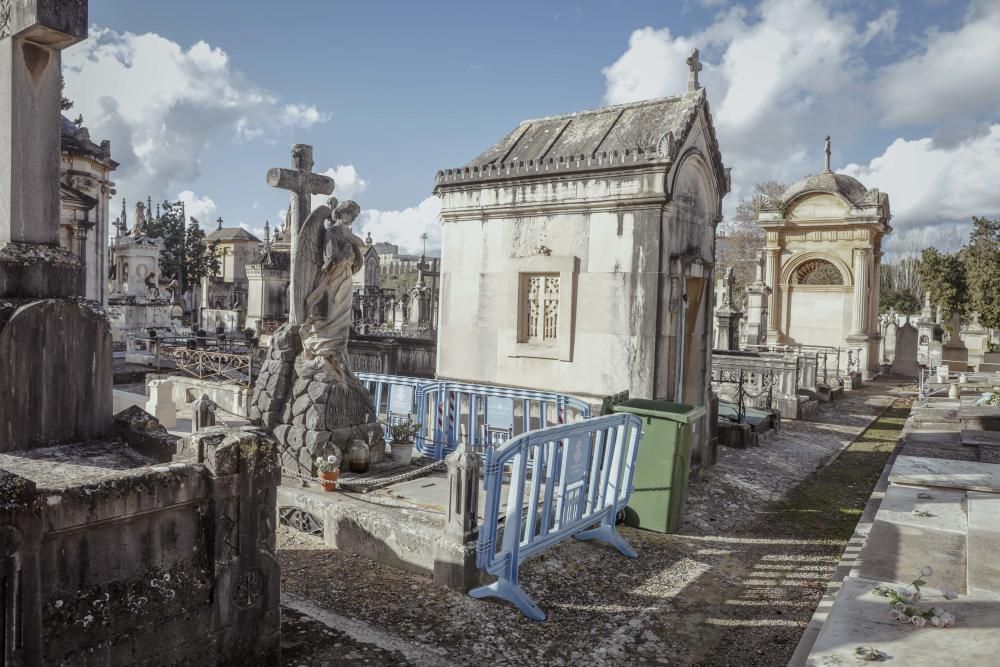 Comienzan las exhumaciones de 284 tumbas del cementerio antiguo de Palma