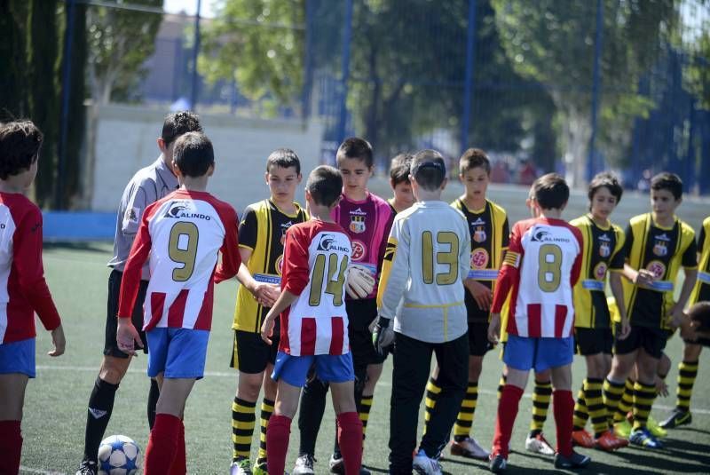 FÚTBOL: Tauste A - Teruel A (Alevín)