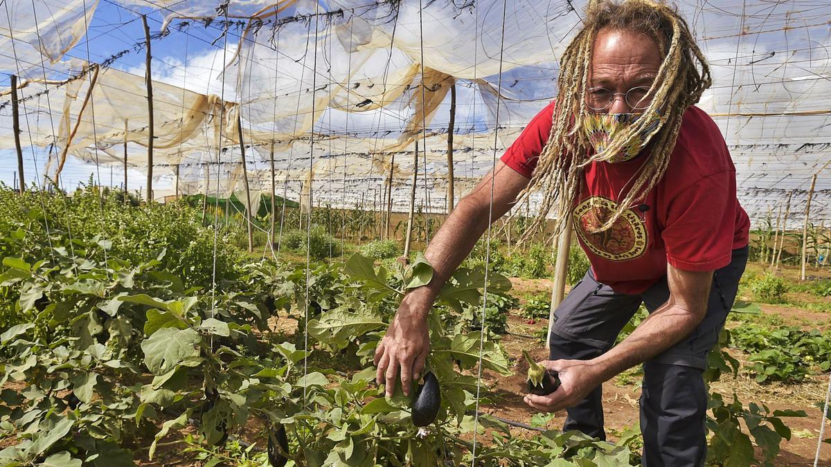 Los ecohuertos brotan en El Burrero