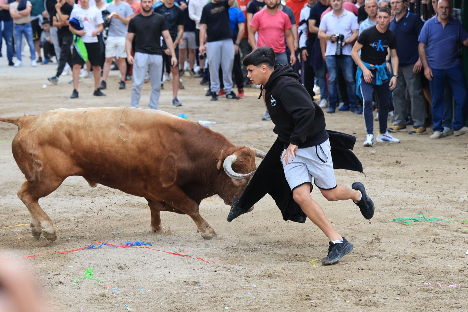 Fotos de la tarde taurina del jueves de las fiestas de Sant Pasqual en Vila-real