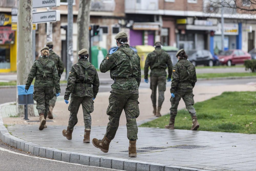 Las imágenes del Ejército de Tierra en Zamora