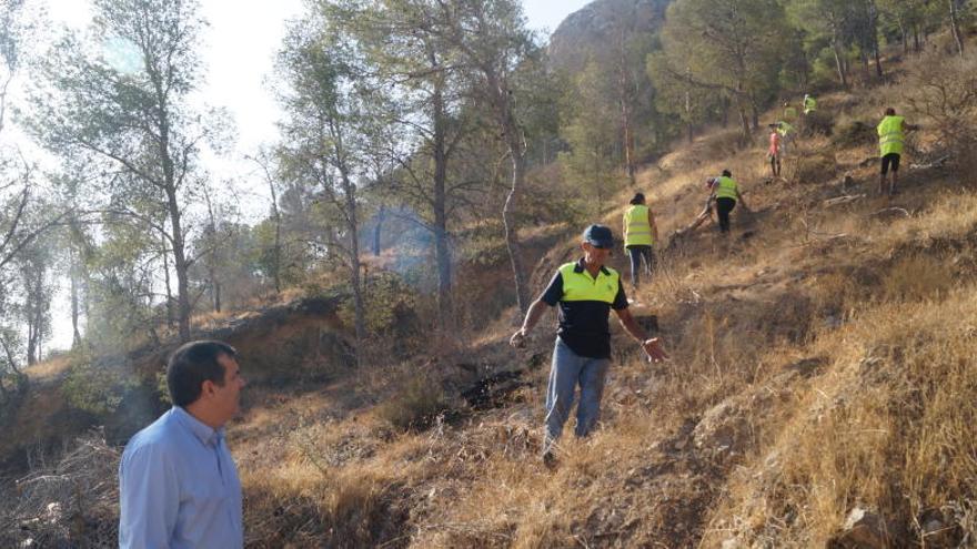 Orihuela elimina 1.200 pinos secos del Monte de San Miguel