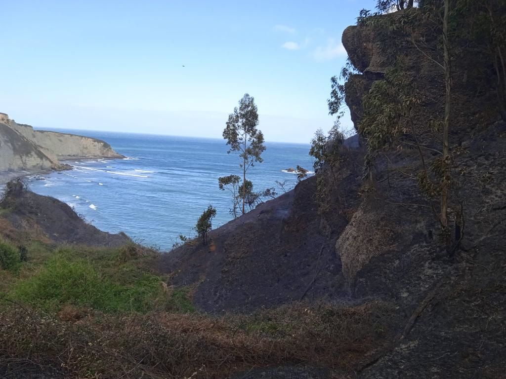 En imágenes: Los bomberos de Gijón sofocan un incendio en la playa de Serín