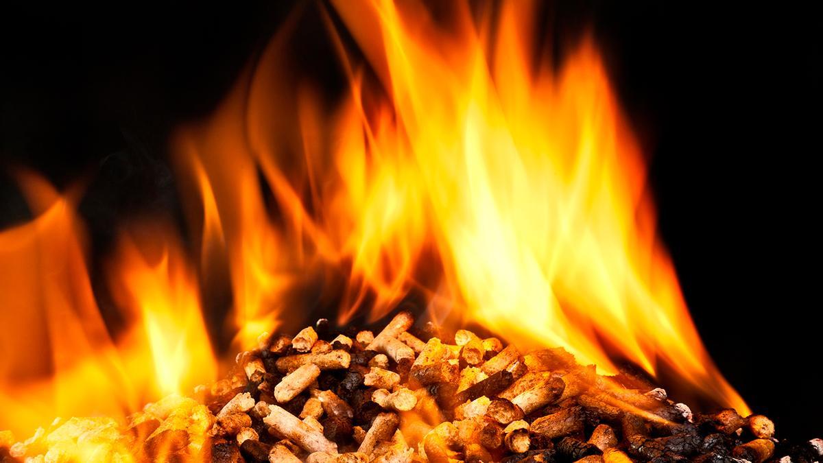 Estufas de biomasa, los nuevos ingredientes para pellets