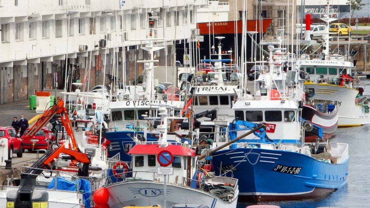 Flota de cerco, amarrada en el puerto de Vigo.