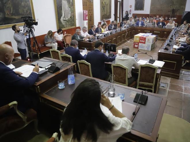 
                 El voto de Vox decidirá el gobierno de la Diputación de Córdoba 
            