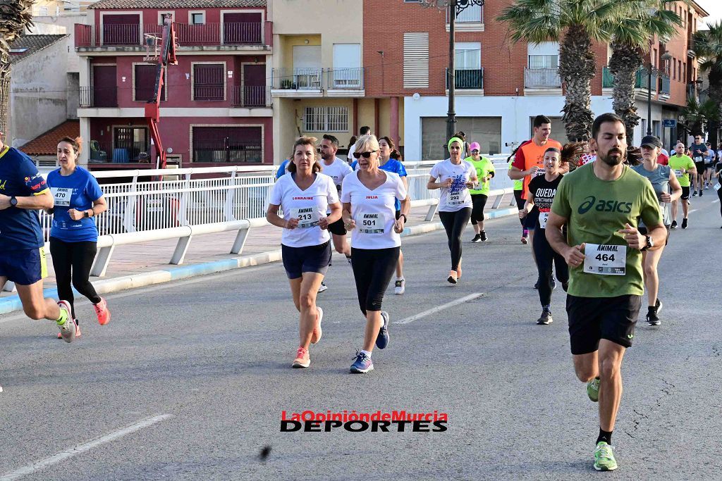 Carrera 5k Animal en Los Alcázares 2024 (I)