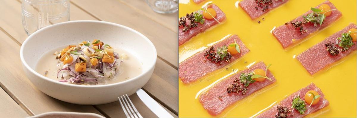 Ceviche y tiradito de ventresca de atún rojo, ají amarillo y maíz