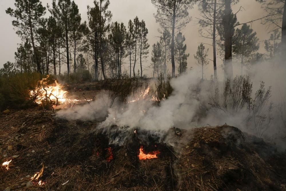 El suroccidente asturiano lucha contra las llamas