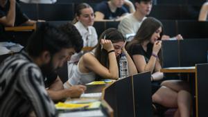 Una de cada tres universitats  ha implantat la formació dual