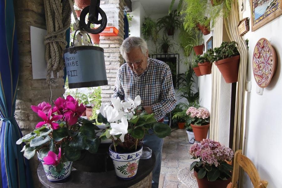 Los Patios de Córdoba (2)