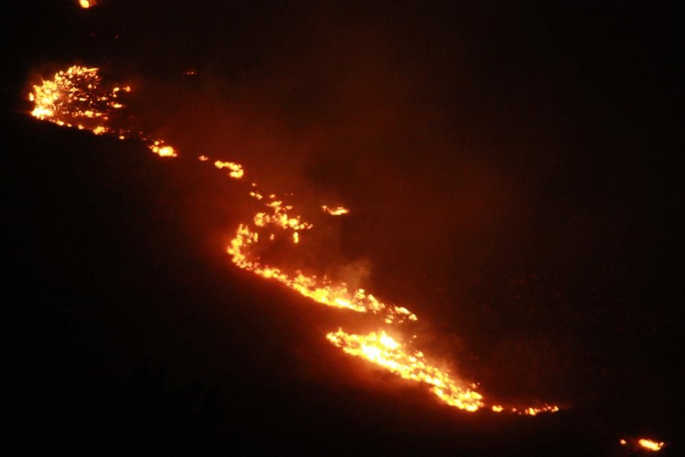 Un gran incendio forestal causa alarma en el Port de Pollença