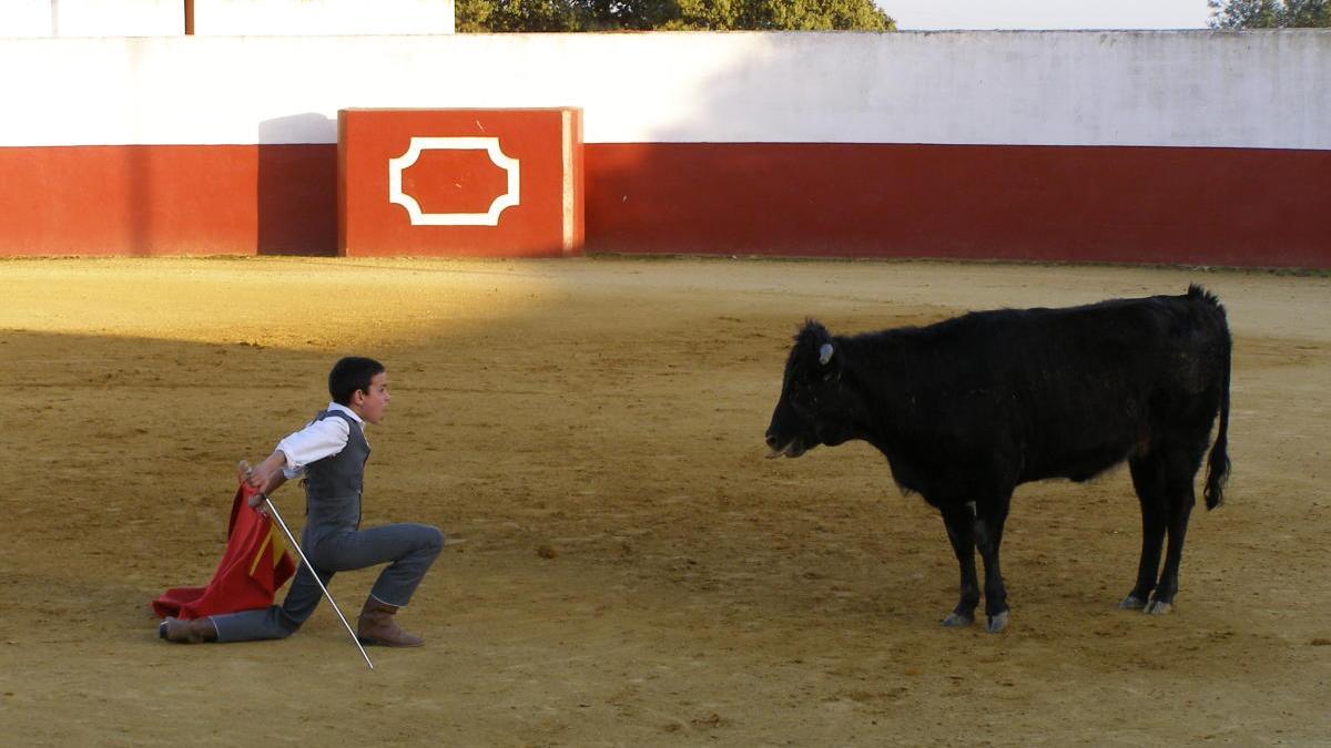 La Diputación sacará a concurso la Escuela Taurina por 480.000 € en cuatro años